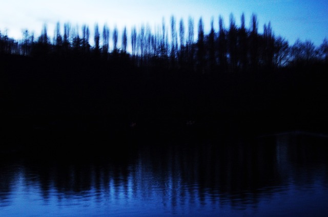 An out-of-focus photo of a line of trees on the brow of a hill and reflected in the water.